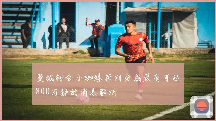 曼城转会小蜘蛛获利分成最高可达800万镑的消息解析